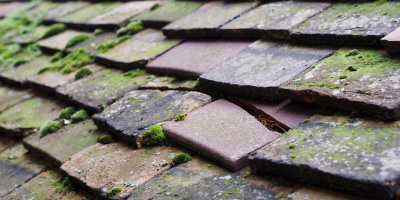 Ramsey Forty Foot roof repair costs